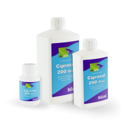 Ciprosol-200 Oral 1000ML