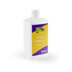 Coli-2400 Oral 1000ML