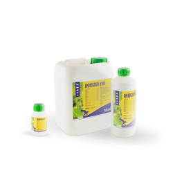 Aminogrow Oral 1000ML